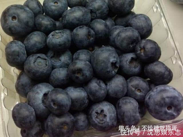 蓝莓|三伏天来了，平时多吃4种水果，滋养肌肤，或还能助你延缓衰老