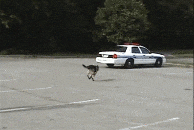 |搞笑GIF：有如此优秀的媳妇，你们可知我心里的痛呀