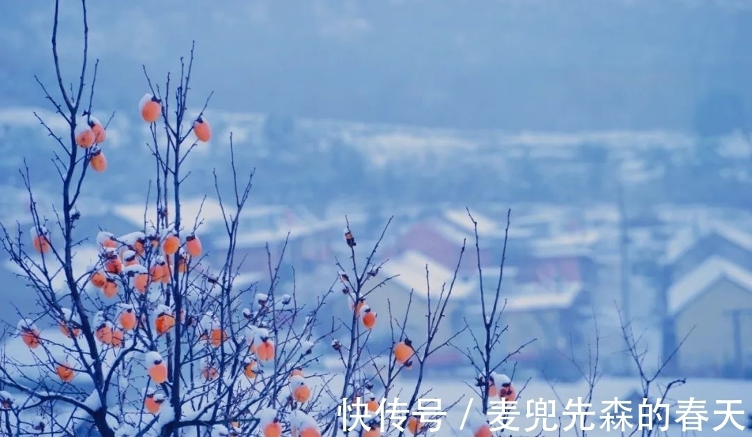 竹炉#今冬最闲适的一首诗,这种慢生活,太令人向往了!