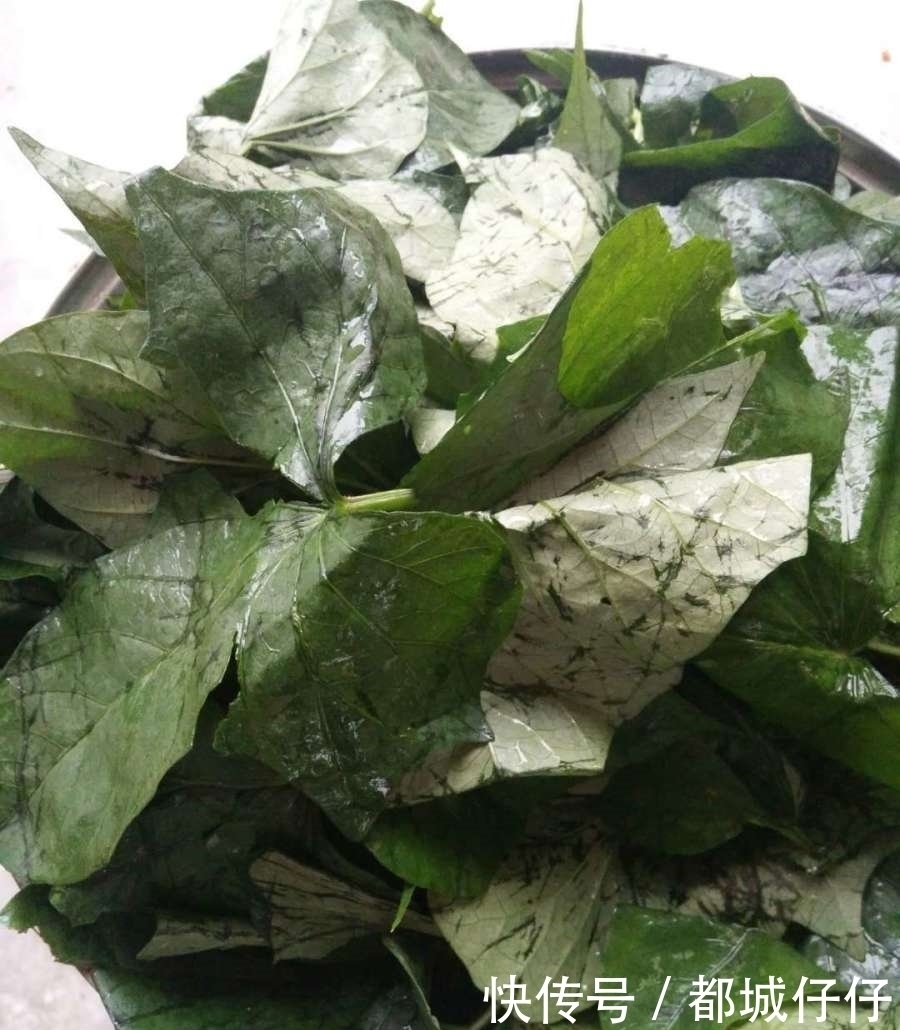 是菜也是药,隔天吃一回,营养极高,7块一斤,视力清晰身体强壮