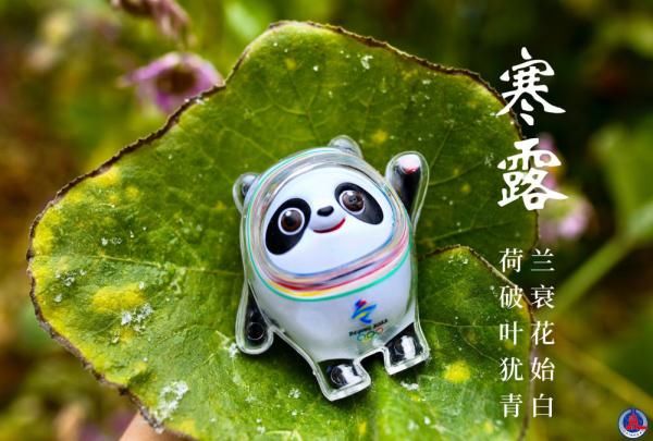 二十四节气#冰墩墩打卡二十四节气·寒露