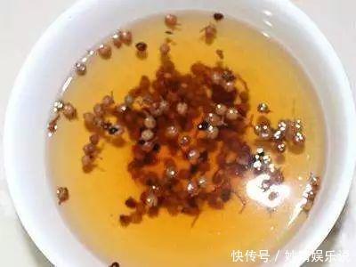 盆里埋点它,小虫子全没了,花越长越茂盛!