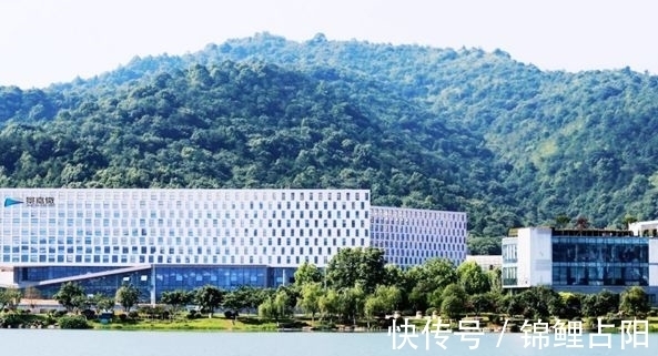 研发|中国“英伟达”:历时八年研发出首款国产GPU芯片,市值超过500亿