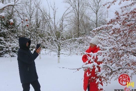 雪后植物园天地一色宛如“童话世界”