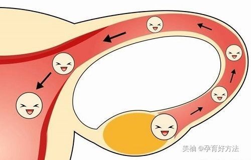 输卵管通畅为什么怀不了孕？有可能是这三个原因！