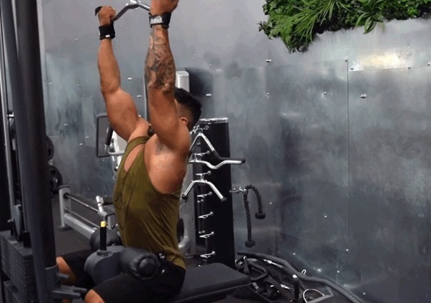 手臂|做不了引体向上,就不配拥有发达的背肌吗新手有更好的练背选择