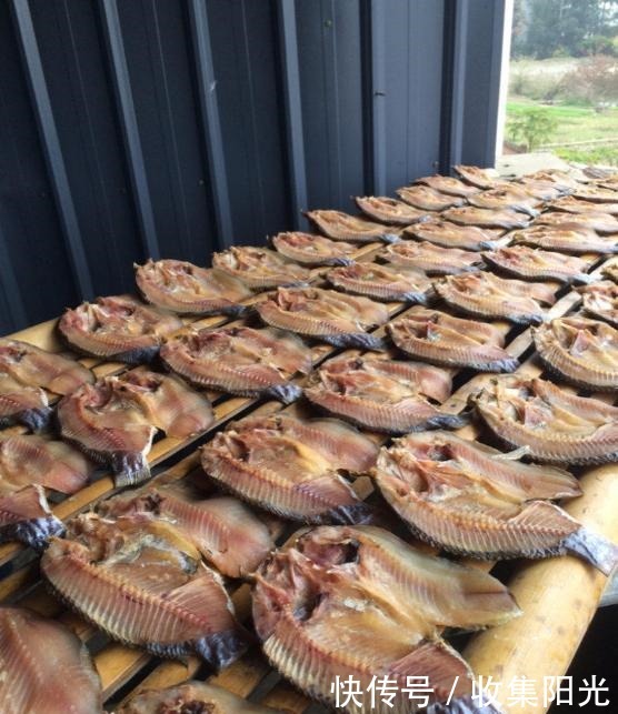 腌腊鱼,用哪种鱼最好80岁外婆教你方法,腊香浓郁,软嫩又筋道!