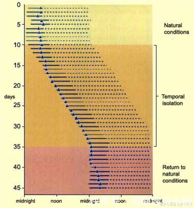 NASA曾将女性囚禁地洞130天,证明时间不存在,结果如何?