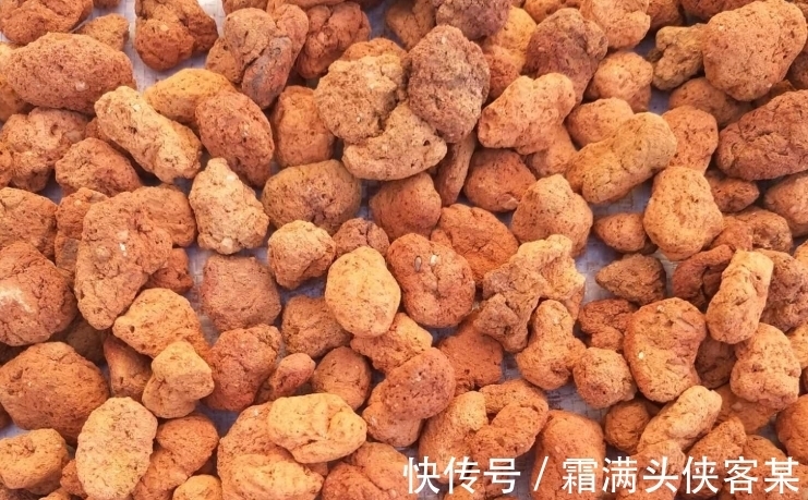 火烧土比较硬,还带有很多细小的气孔,拿来养多肉是不是非常好?