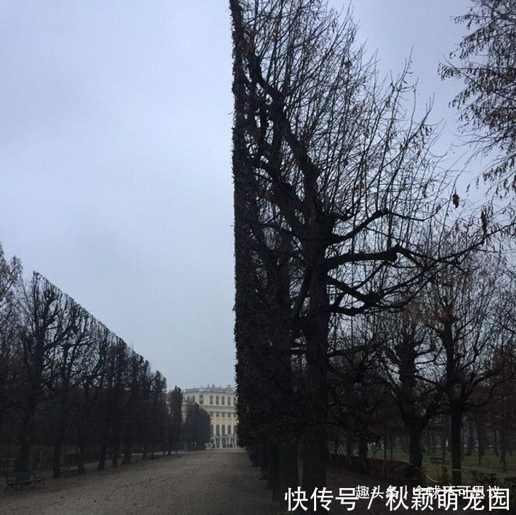 疯狂事|如果没有被相机捕捉到,我们永远不会相信存在的19件疯狂事情