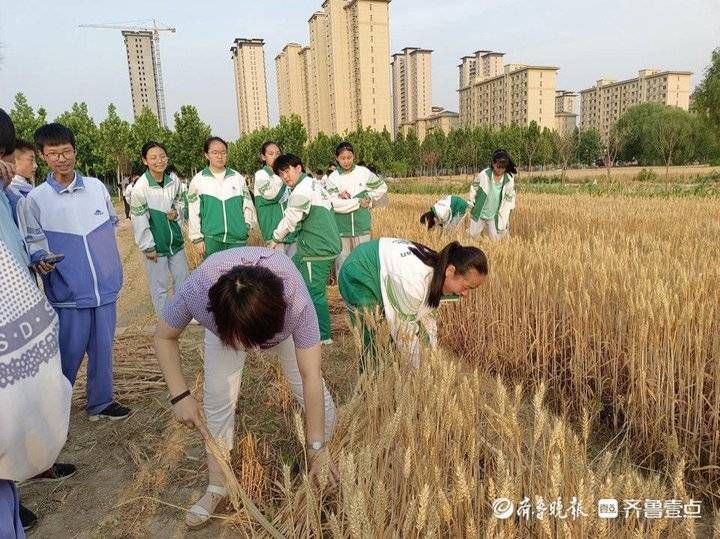 学生们|菏泽市定陶区山大附中实验学校：“八亩地”奏响劳动教育