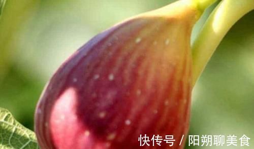 玉米须茶|怀孕后,孕妈餐桌上尽量多吃4物,或能排出胎毒,预防新生儿黄疸