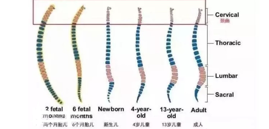 防辐射服|母婴店这7样东西是交“智商税”,买了都闲置,你怀孕后买过吗