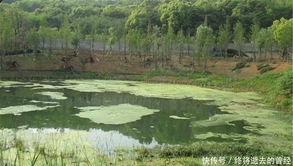 春季钓黑鱼，民间这种钓法就很好，别看钓法很土，但是效果一流！