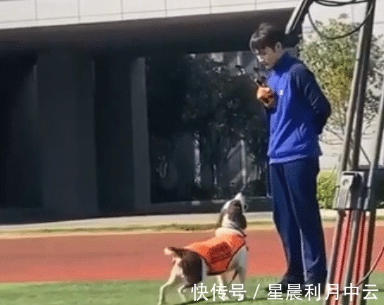 《一往無(wú)前的藍(lán)》路透,6位嘉賓身高均是183,也太巧合了吧