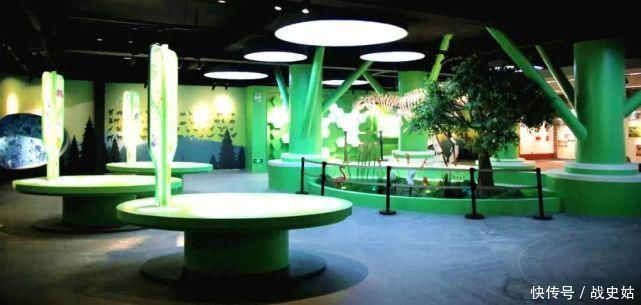 探秘 广东饶平青岚地质博物馆,探秘地质科学的宝藏地