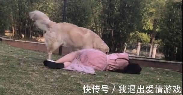 女主人假装晕倒 狗狗扑上来给她做人工呼吸 这动作尴尬了 快资讯 女主人假装晕倒 狗狗扑上来给她做人工呼吸 这动作尴尬了 快资讯