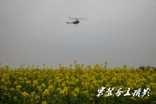 解密潼南的陈抟故里景区，来这里观赏油菜花海已成了水陆空全覆盖