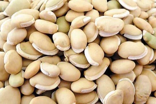 脾胃|湿气重、脾胃弱、气血虚怎么办?这2个祛湿健脾妙招,适合每个人