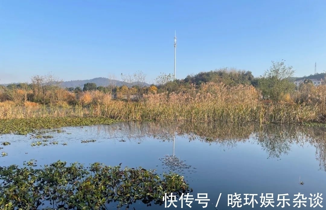 鱼起浮晒太阳不咬钩怎么办！老钓友给你支招