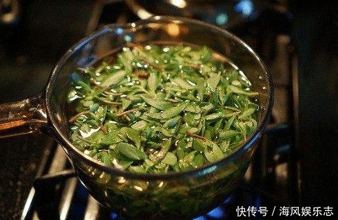 经常用马齿苋煮水喝,不出半个月,4件好事或许会不请自来