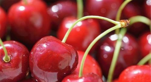 促进身体健康，建议多吃的食物，清心润肺，活血养颜，吃了变年轻