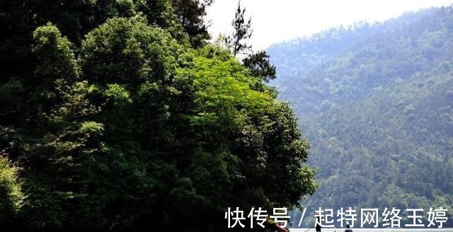 霜溪!苏轼鲜为人知的一首好词,堪称世间最美的千古绝唱!