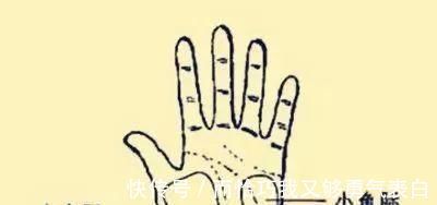 青筋|手掌上这块肉，一看就知道身体好不好！没事经常搓一搓，宣肺强心