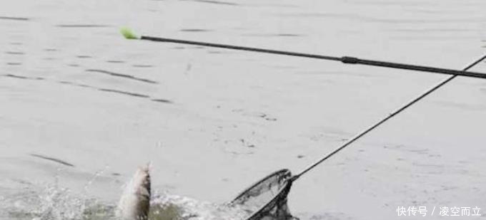 溶氧量|狂拉后却遭到“停口”老渔民说出实情,原来不少钓鱼人都做错了!