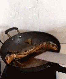 |搞笑GIF:刚娶回来的媳妇儿 衣服还没换就暴露了