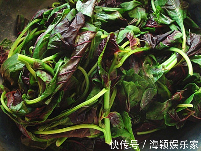 豆瓣菜|孕妇别吃4种常见蔬菜,孕期再喜欢也要忍着,小心对胎儿的健康