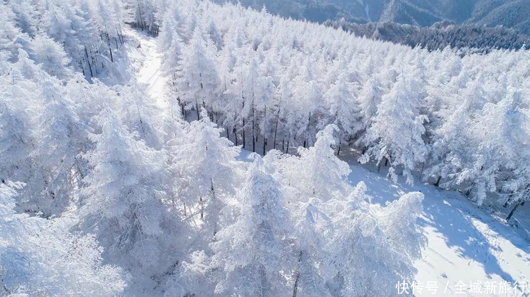 离武汉最近的天然滑雪场，湖北人自己的滑雪场！|五峰国际滑雪场 | 滑雪场