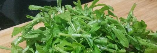 农村一种野草,清肺止咳、降压有奇效,路边见到了请珍惜