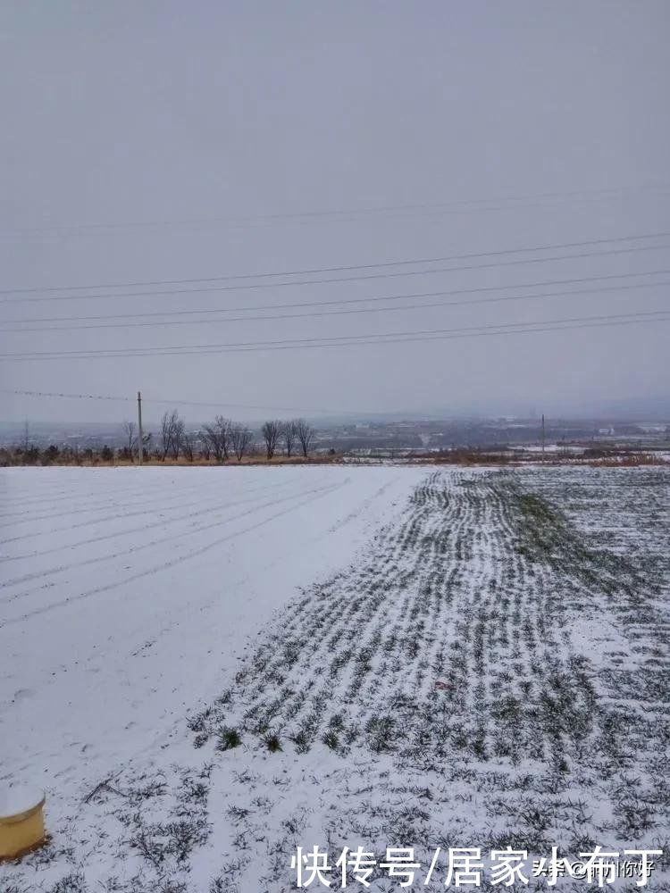 沙漠水：初春的小雪