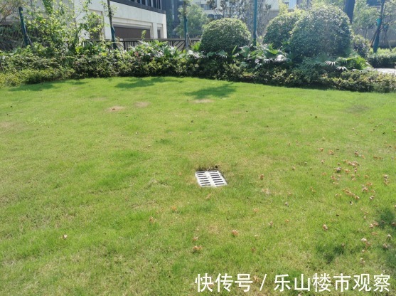 下跌|实探乐山这个均价一路下跌的楼盘,你买亏了吗?