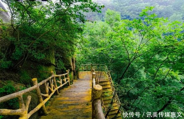 春游首选打卡点“人间仙境”洛阳白云山，古画里的人间仙境