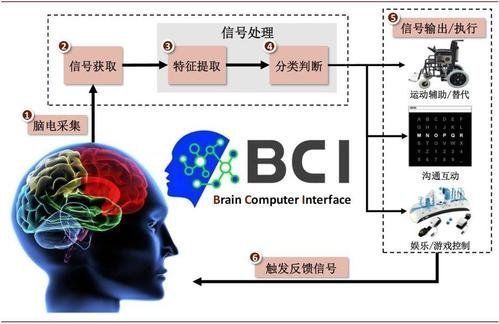 接口|所想即所得——脑机接口发展前景：跨维沟通或成现实？