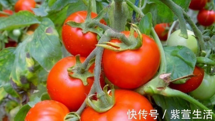 好处|女性担心老太快，要坚持吃3种食物，补充营养，好处多多！