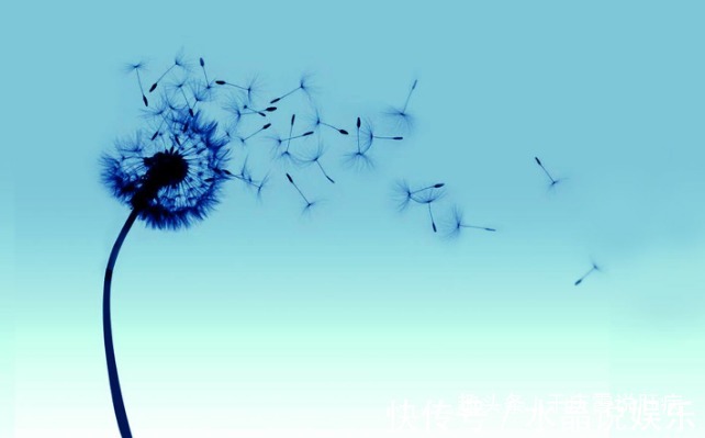 蒲公英茶|肝不好的女人，白天少碰3物，晚上睡觉前多做2事，好处不请自来