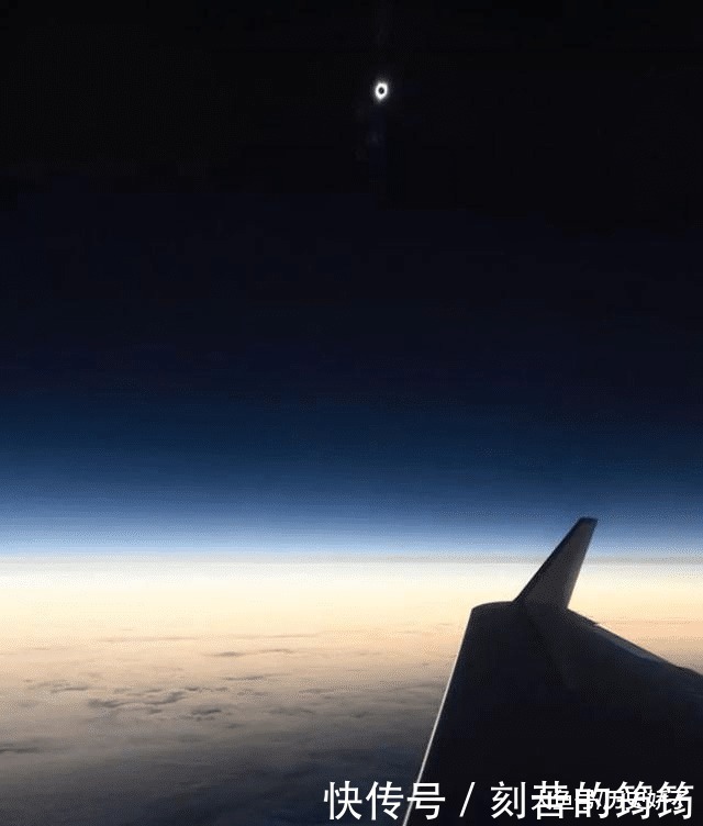 电子显微镜 22张“活久见”的照片,令人大开眼界!