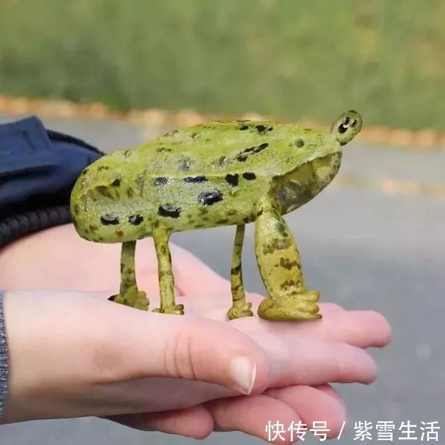 花式秀!儿子画成什么样,爸爸就能P成什么样子,花式秀父爱坐拥百万粉丝