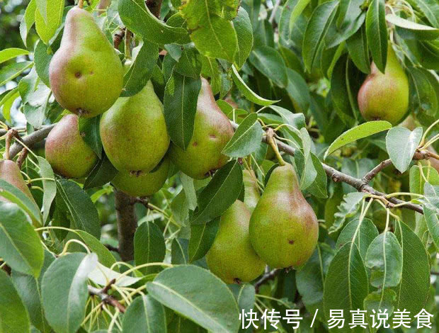 西瓜|高血压最好避免4种水果,吃一口血压飙升,别儿戏生命!