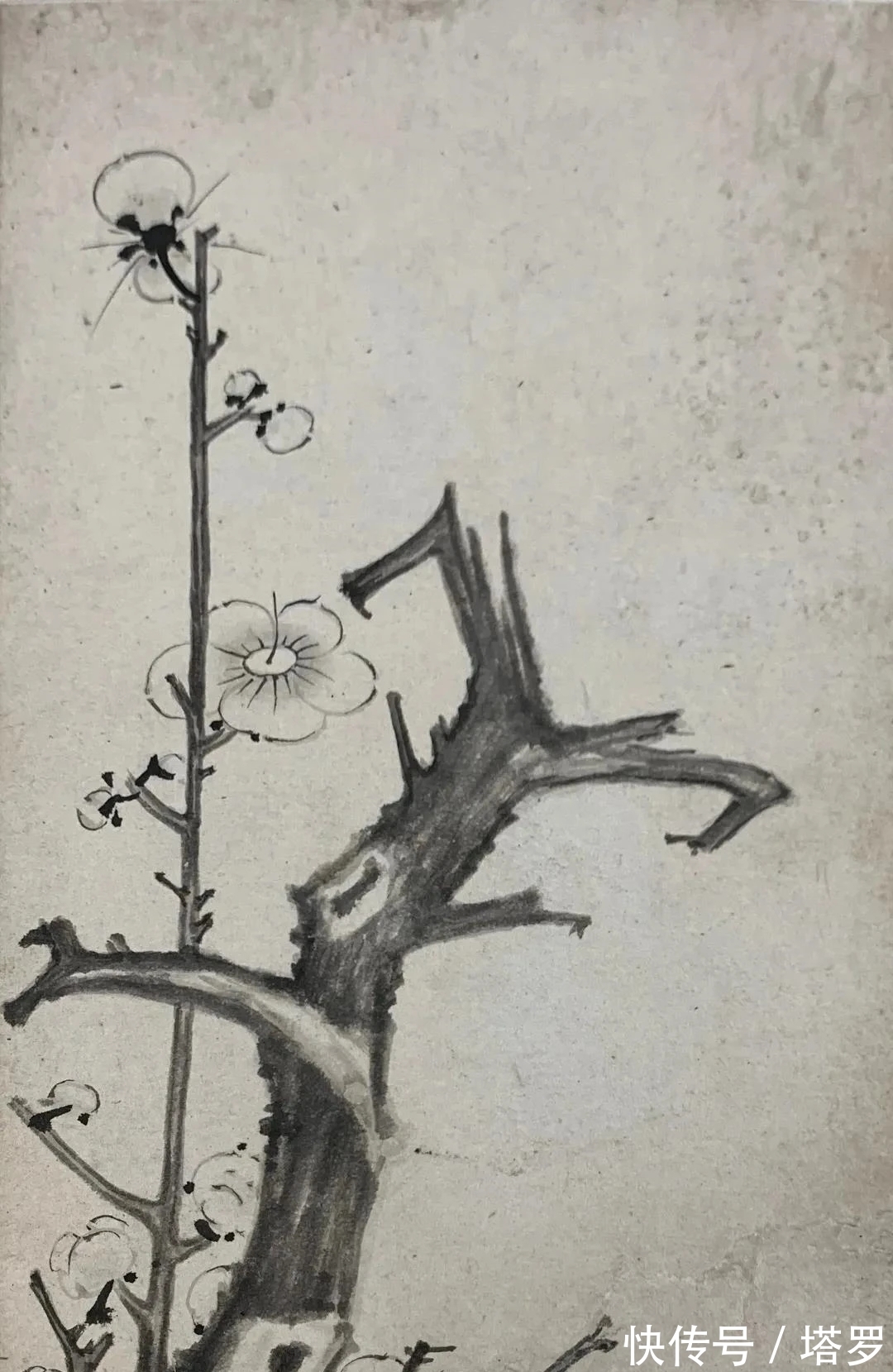 冰心!他的山水画面貌来源于铁骨冰心的梅花|渐江画梅