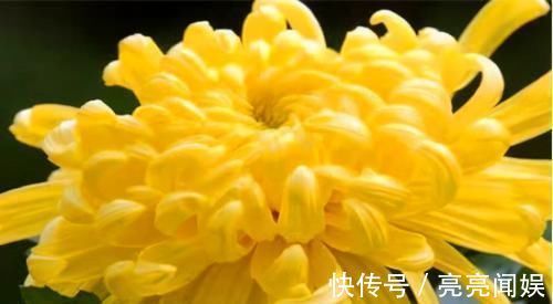 雌激素|人到中年想长寿，不妨多吃3种食物，补充营养，滋润身体！