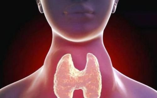 甲状腺|70岁教授研究甲状腺43年,提醒:不想结节转恶,3种食物别贪吃