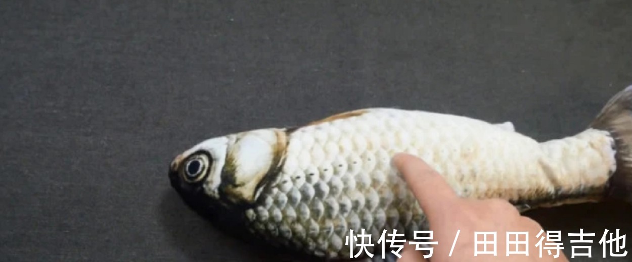 鱼肉|买鱼时,看到这样的鱼快走开,免费白送都别要,快告诉家里人!