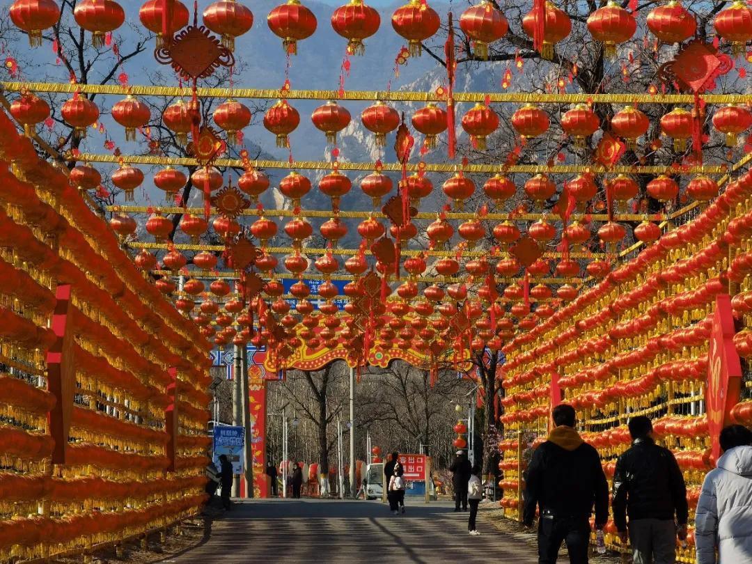 中年|北京海淀凤凰岭丨春节免费游园,助力“留京过年”!