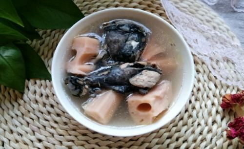 春季进补，多给家人喝这汤，简单炖一炖，补血养血，脸色红润透亮