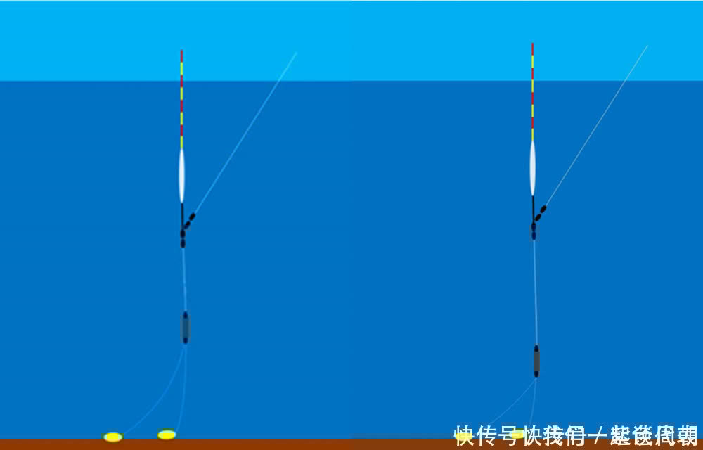 底钓大鱼,用这种调漂方法,这是钓大鱼的“专属”调漂方法!