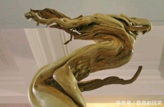 崖柏|带你走进深山的采崖柏人,有人靠它赚上亿,有人因此丧命,太珍贵